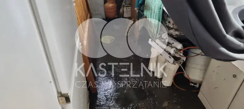 Specjalistyczna firma usługowa Kastelnik.