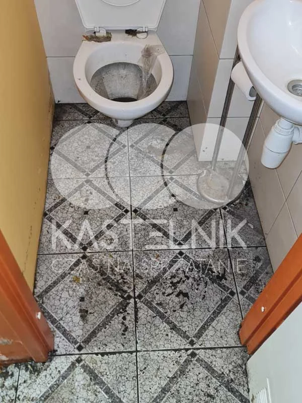 Brudne WC