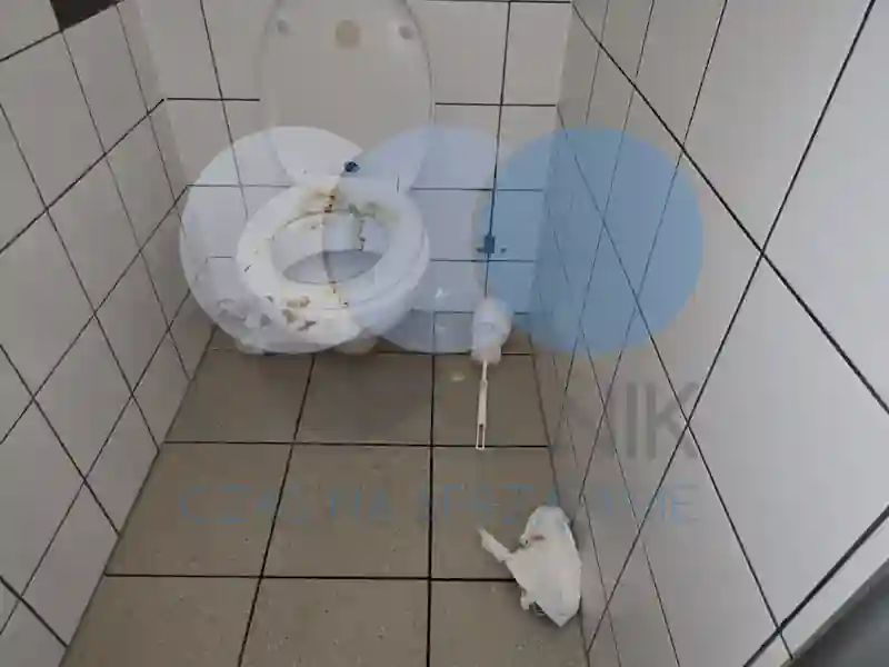 Czyszczenie toalety