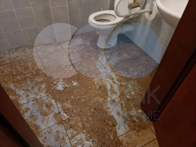 Czyszczenie toalety po wybiciu kanalizacji