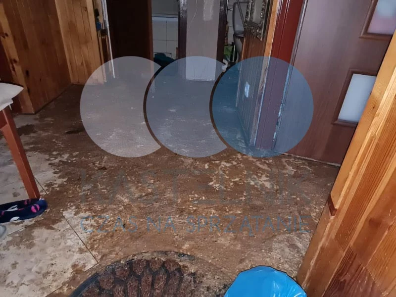 Rozlane fekalia na podłodze w mieszkaniu