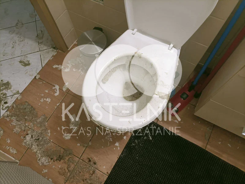 Sprzątanie toalety po zalaniu woj. podkarpackie