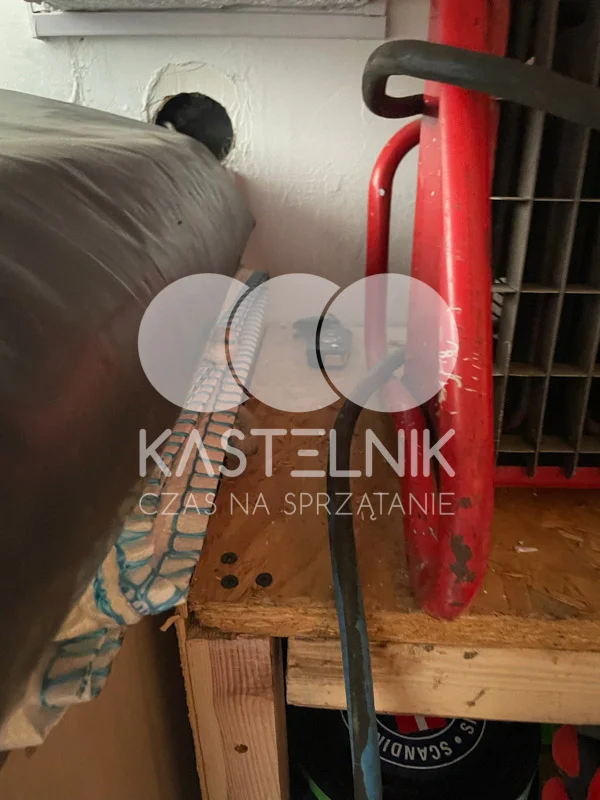 Sprzątanie po zalaniach, firma Kastelnik