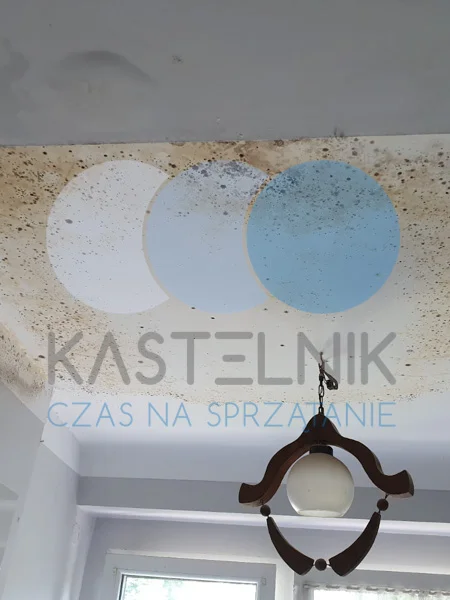 Usuwanie grzyba pleśni ze ściany w powiecie poznańskim